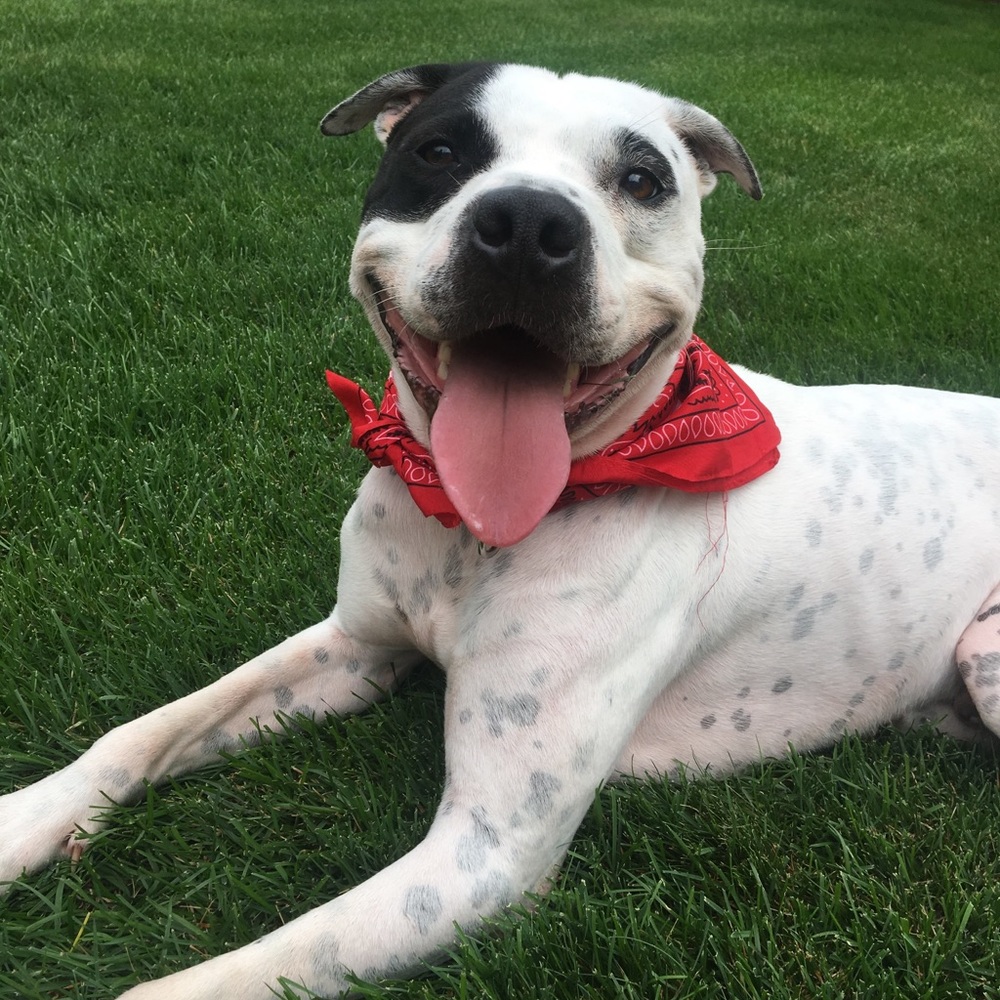 Meet your Posher, Corinne